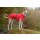 STOCK+STEIN® Wear Winterjacke Wintermaster Simply Red rot XS+