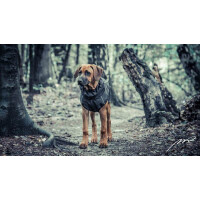 STOCK+STEIN® Wear Winterjacke Wintermaster Phantom schwarz XL
