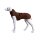 STOCK+STEIN® Wear Winterjacke Wintermaster Chocolate dunkelbraun M