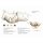 STOCK+STEIN® Wear 4-Seasons-Master Set Seals grün S+