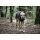 STOCK+STEIN® Wear Regenjacke Rainmaster Phantom schwarz S+