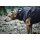 STOCK+STEIN® Wear Regenjacke Rainmaster Phantom schwarz S+