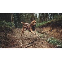 STOCK+STEIN® Wear Regenjacke Rainmaster Chocolate dunkelbraun XXL