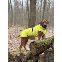 STOCK+STEIN® Wear 4-Seasons-Master Set Sulphur Yellow XL