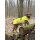 STOCK+STEIN® Wear 4-Seasons-Master Set Sulphur Yellow XL