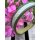 Lederhalsband Elegance Forest HU 39-47cm