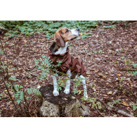STOCK+STEIN® Wear 4-Seasons-Master Set Chocolate dunkelbraun