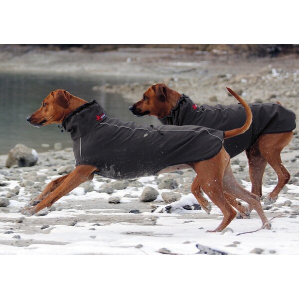 Funktionsjacke Windmaster fr Hunde XL - STOCK+STEIN Wear, 229,00