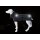 STOCK+STEIN® Wear Funktionsjacke Windmaster Phantom schwarz XL